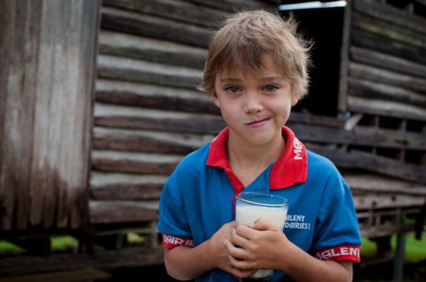 Maleny Dairies - Attractions Brisbane 2