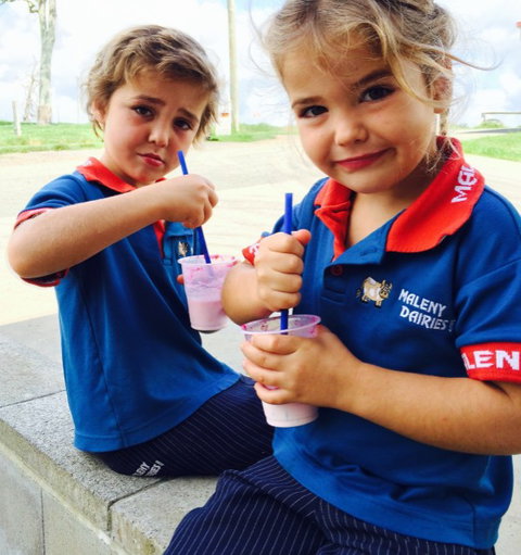 Maleny Dairies - Attractions Brisbane 3