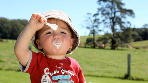 Maleny Dairies - Attractions Brisbane 5