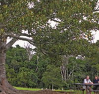 Ravensbourne National Park - Attractions Brisbane