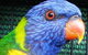 Fraser Coast Wildlife Sanctuary - thumb 0