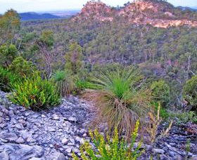 Coorada QLD Attractions Brisbane