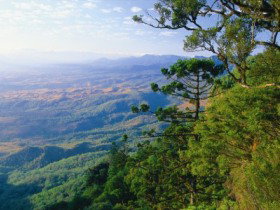 Ellinthorp QLD Attractions Brisbane