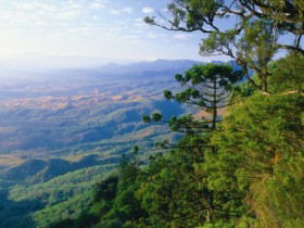 Goomburra, Main Range National Park - Attractions Brisbane 0