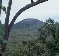 Mount Fox - Attractions Brisbane