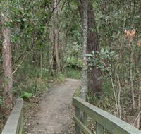 Springwood Conservation Park - Attractions Brisbane
