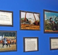 Town Hall Photographic Display - Attractions Brisbane