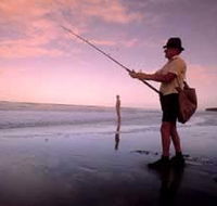 The Serenity Coast - Attractions Brisbane
