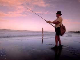 The Serenity Coast - Attractions Brisbane 0