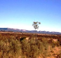 Tambos Wilderness Way - Attractions Brisbane