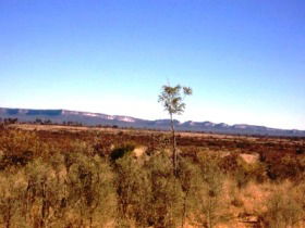 Tambos Wilderness Way - Attractions Brisbane 0