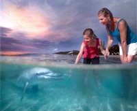 Book Tangalooma Accommodation Vacations Attractions Brisbane Attractions Brisbane