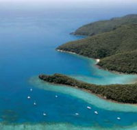 Butterfly Bay - Hook Island - Attractions Brisbane