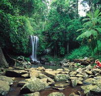 Tamborine National Park - Attractions Brisbane