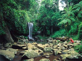 Tamborine National Park - Attractions Brisbane 0