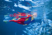 Outer Rocks Dive Site