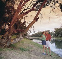 The Looking Glass - Attractions Brisbane