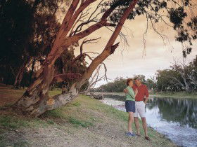 The Looking Glass - Attractions Brisbane 0