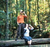 Birdwatching on the Fraser Coast - Attractions Brisbane