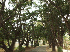 Eimeo QLD Attractions Brisbane