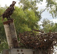 Blackall Sculpture Trail - Attractions Brisbane