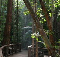 Basin Lake Track - Attractions Brisbane