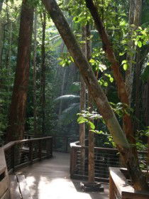 Basin Lake Track - Attractions Brisbane 0