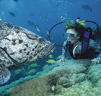 Pelorus Island - Attractions Brisbane