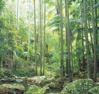 Python Rock - Attractions Brisbane