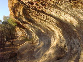 Wave Rock Trail - Attractions Brisbane 0