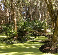 Arkarra Lagoons and Tea Gardens - Attractions Brisbane