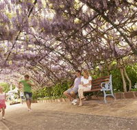 Laurel Bank Park - Attractions Brisbane