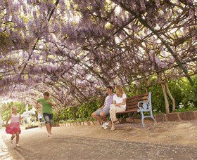Laurel Bank Park - Attractions Brisbane 0