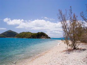 Paddle Bay Track And Campsite - Attractions Brisbane 0