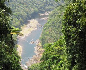 Palmerston, Wooroonooran National Park - Attractions Brisbane 0