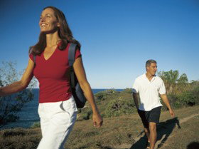 Telegraph Track - Attractions Brisbane 0