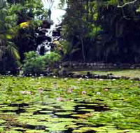 Queens Park Waterfall - Attractions Brisbane