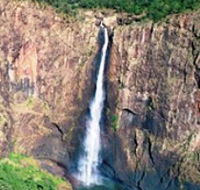 Buujan Quiinbiira Walk Wet Tropics Great Walk - Attractions Brisbane