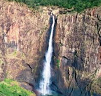 Gugigugi Butterfly Walk Wet Tropics Great Walk - Attractions Brisbane