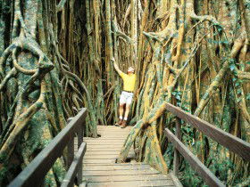Yungaburra QLD Attractions Brisbane