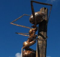Augathella Meat Ant Park and Sculpture - Attractions Brisbane