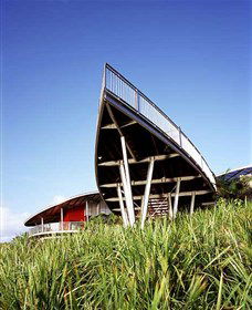 Lagoons Cafe And Gallery - Attractions Brisbane 0