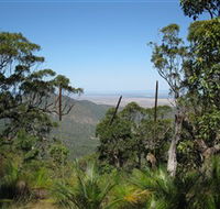 Zamia Walk - Attractions Brisbane