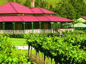 OReillys Canungra Valley Vineyards - Attractions Brisbane 0