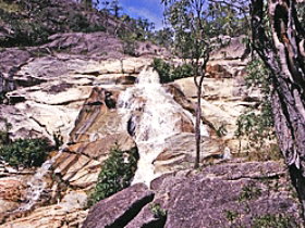Emerald Creek Falls - Attractions Brisbane 0