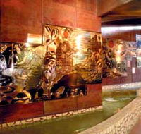 Riversleigh Fossil Centre - Attractions Brisbane