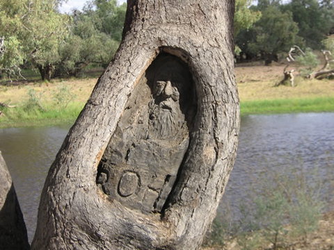 Burke And Wills Dig Tree - Attractions Brisbane 3