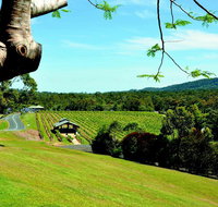 Sirromet Winery - Attractions Brisbane