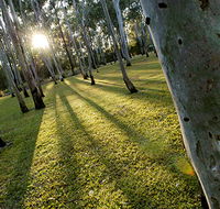 Tondoon Botanic Gardens - Attractions Brisbane
