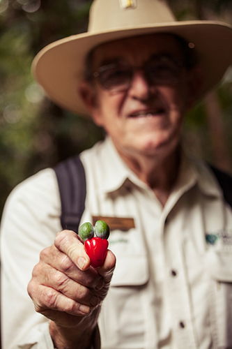 Tondoon Botanic Gardens - Attractions Brisbane 1